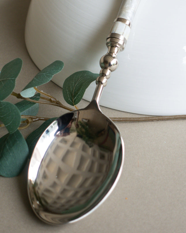 Silver serving spoon with decorative handle on a light surface with a white dish in the background